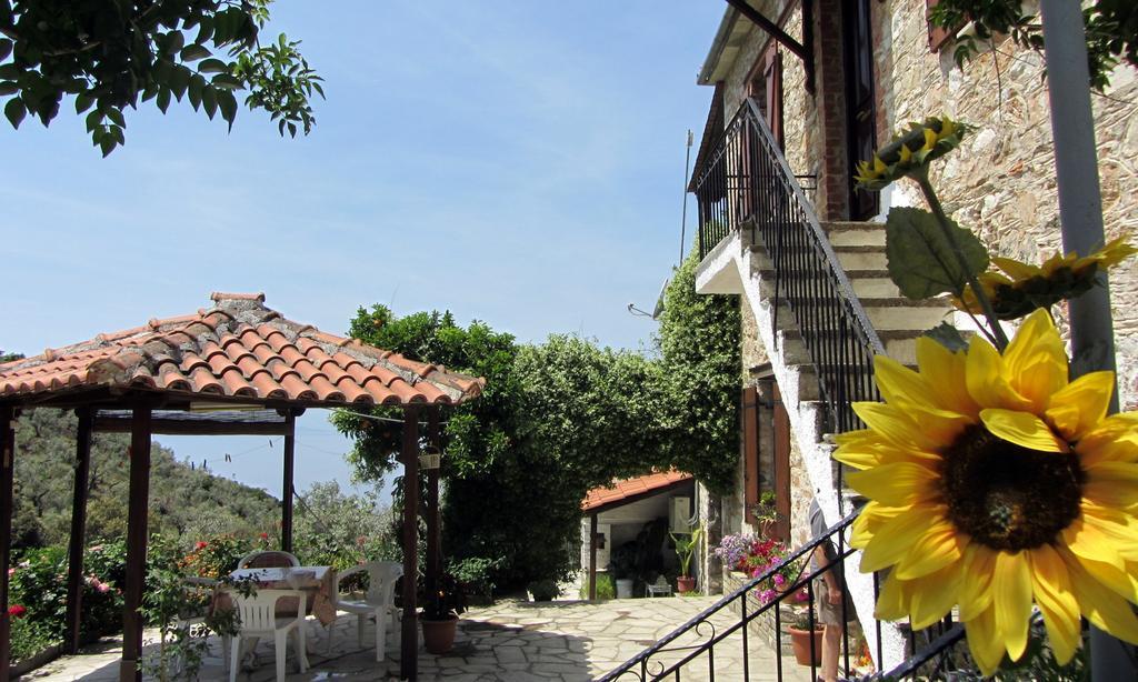Tsorni Hill Apartment Lefokastro